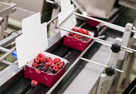 Applications métier Industrie Agroalimentaire - étiquetage de barquettes de fruits 